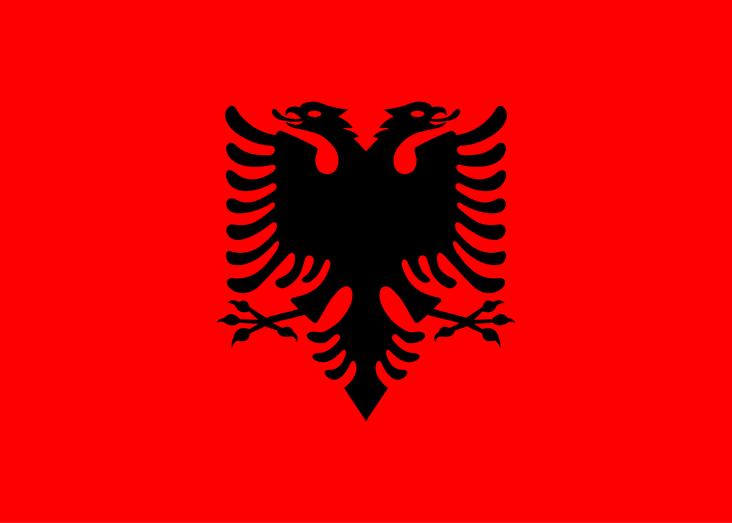 Nationality flag