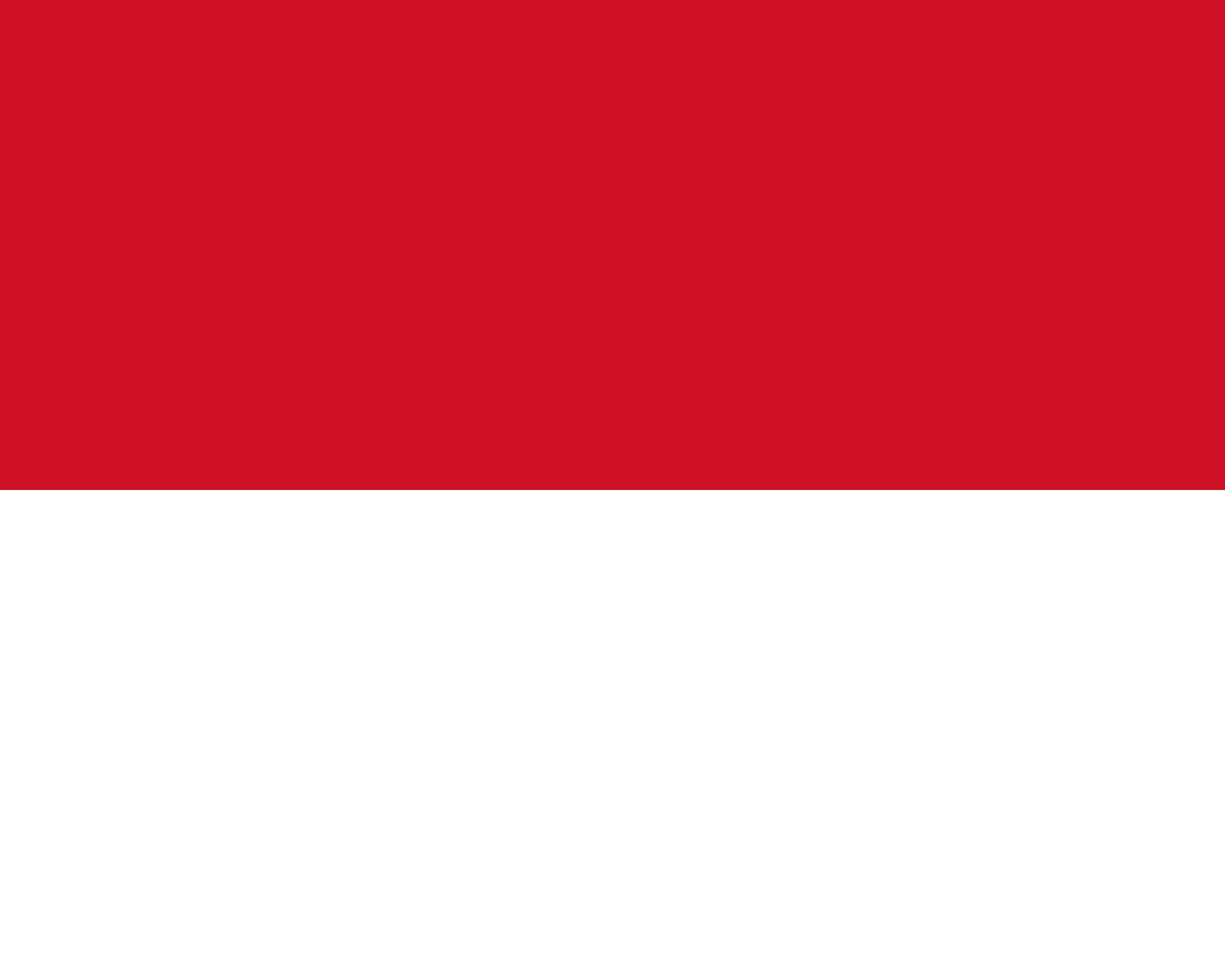 Nationality flag